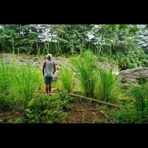 Meet your Posher, Robert